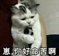 沙雕图 (78)