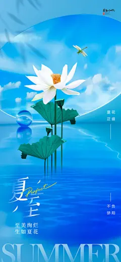 夏至24二十四节气节日活动宣传手机H5视觉海报模板PSD设计素材(118)