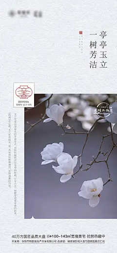 立春节气海报