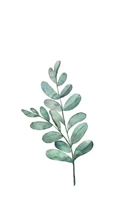 给眼睛带来一抹绿色植物手绘作品 小清新壁纸 无水印 大原图 ​