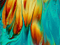Abstract-Type_Marbling_Sample-Fill-Image_01