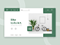 Web Layout and Header UI For Products company