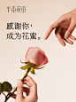 @半亩花田 的个人主页 - 微博