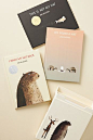 Jon Klassen's Hat Box Set