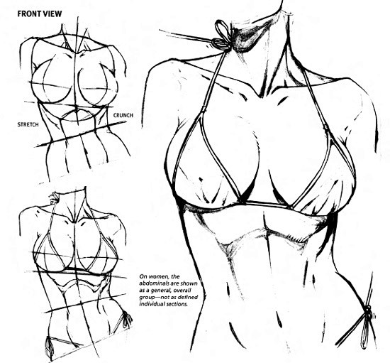 female-torso