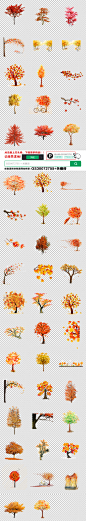 秋季秋装秋天金黄色树枫树海报素材背景图片PNG