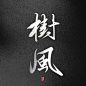 树风      @四诗诗呀.板写练习，用转需关，商用私信联系。     私下禁止商用，发现罚款。
