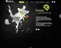 撩汉浪妹采集到21 Fresh Examples of Websites Us