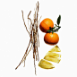 Photo by Acqua di Parma on January 04, 2022. May be an image of fruit.