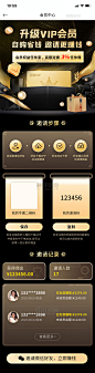 会员app会员界面黑金黑色金属