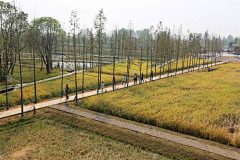察研观设采集到乡土材料
