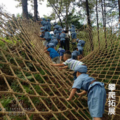 小蜜蜂嗡嗡嗡123采集到旅游