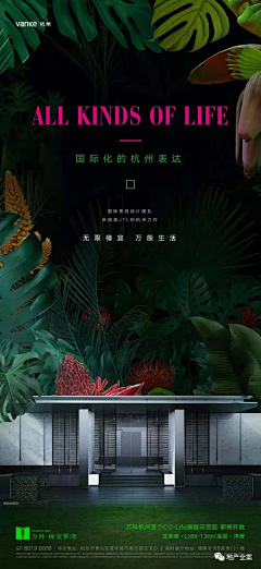 大驴12采集到黑金