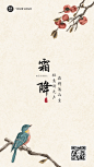 霜降节气小鸟树枝GIF动态海报