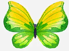 卡通手绘文艺简约蝴蝶动物插画设_新图网 https://ixintu.com 卡通手绘文艺简约蝴蝶动物插画设计免费下载 手绘文艺风动物插画 杂志动物插画装饰 简约手绘动物 海报设计 广告设计 创意蝴蝶形态设计