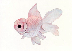 天海镜子采集到插画动物
