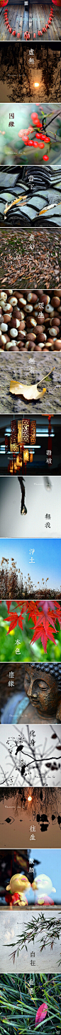 【再访西溪湿地之前世今生】