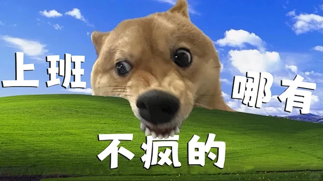 打工人发癫壁纸｜抽象｜精神状态_1_小花壁纸 _来自小红书网页版-花瓣网