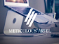 Meticulous Free Font #排版# #字体#