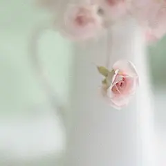 创美乐家居生活馆精选手机壁纸-锁屏壁纸-手机墙纸-手机屏幕背景-安卓壁纸-苹果壁纸-三星壁纸-小米壁纸-高清-摄影-美图