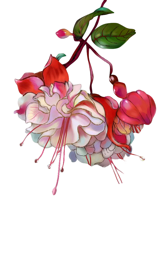 中国古风水墨花手绘水彩植物花卉装饰 免抠...