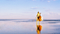 sunshine like you_人像_POCO摄影,人像,唯美,复古,天空之镜,写真