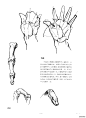 伯里曼人体结构绘画 (254).jpg