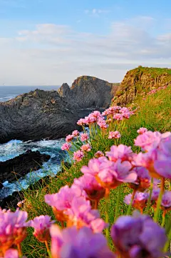 its-salah:

Donegal, Ireland | by Rónán McLaughlin
