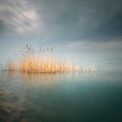 Sunight采集到Akos Major：构成主义实践作品