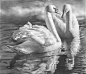丹尼斯·切尔诺夫,生于1978年，乌克兰。丹尼斯·切尔诺夫最喜欢的是铅笔画，如风景，肖像，裸体，流派组成，书籍插图等。他的素描作品笔法细腻，情感真实，造型准确，形象生动感人。
