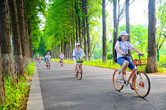 小魚從未食飽過采集到E市政公共空间-道路