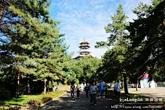 龙沙公园的清晨，让我记住了齐齐哈尔的美丽, 冰城馨子旅游攻略