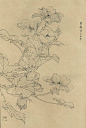 古风联盟网的照片 - 微相册