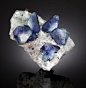 crystal-alien:

bijoux-et-mineraux:

Benitoite with Joaquinite and Neptunite - Dallas Gem Mine, California

fuck!