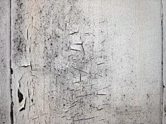 每周免费素材分享 N.022