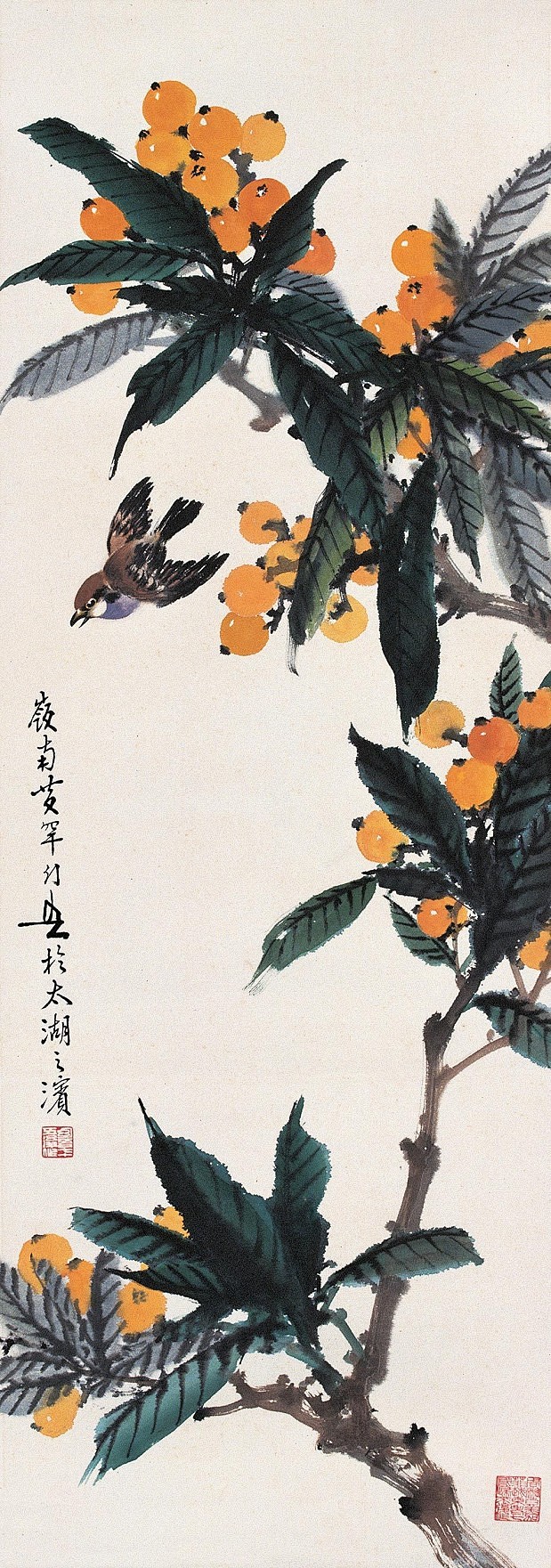 插画 岭南名家黄幻吾花鸟画作品1