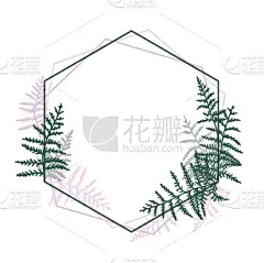 欧洲蕨,边框,华丽的,请柬,热带气候,浪漫,枝繁叶茂,模板,草,棕榈叶
