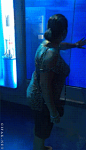 SHARK ATTACK