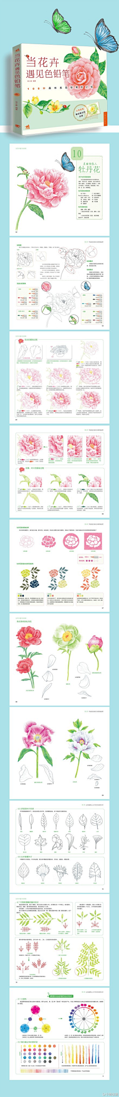 脉脉猫采集到植物王国
