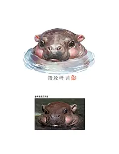 【小河马】暴躁小鼻嘎Moodeng（中文译名“弹跳猪”或“猪肉丸子”），倭河马幼崽，身上有一种浑然天成的生命力，喜欢跳来跳去，喜欢张着还没长牙的大嘴，一副奶凶奶凶气噗噗的暴躁样子特别可爱！【不能养就画一只系列】​​​ ​​​​【野生动物】【生物多样性】