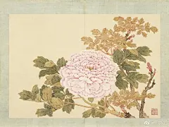 书法绘画 | 1.清杨大章仿刁光胤写生册，竹菊泉石，台北故宫博物院藏。

2-3.清董诰夏花十帧册，荷花红蓼、石榴金丝桃，各23.2x31.1厘米，台北故宫博物院藏。

4.清蒋廷锡张照书画合璧册，凤仙倒挂，台北故宫博物院藏。

5.清关槐画洋菊册，蝶翅丛，台北故宫博物院藏。...展开全文c