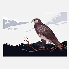 黑夜飞鹰灵敏捕猎图片大小2000x2000px 图片尺寸285.47 KB 来自PNG搜索网 pngss.com 免费免扣png素材下载！APP#banner#捕猎#插画#动物#广告#海报#健康#卡通手绘#森林#生活#矢量图#鹰#