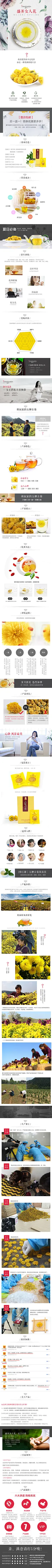 菊花茶黄金详情729