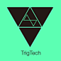 #标志设计#Trigtech