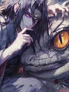来自相册