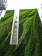 Vertical Garden