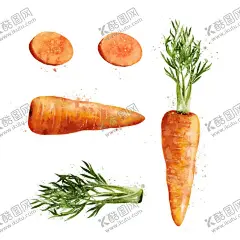 手绘彩色蔬菜免扣素材图片 【酷图网】青菜插画,蔬菜插画,手绘蔬菜,手绘青菜,健康饮食,果蔬,蔬菜,水果,饭菜,绿色蔬菜,食物手绘,小清新,素材,美食,餐饮,手绘,食材,插画,火锅食材,食物,光盘行动,拒绝浪费,光盘,公益,宣传,卡通,PNG,免抠,免抠图,抠图,元素,透明,蔬菜素材,蔬菜沙拉,沙拉,有机蔬菜,天然,健康,萝卜,胡萝卜