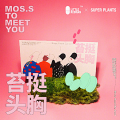 十|||采集到植物