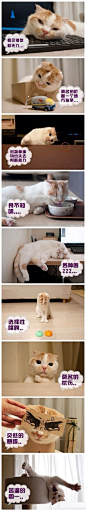 10幅图 - 每天十幅图，幅幅都精彩 #花瓣萌宠# #采集大赛#