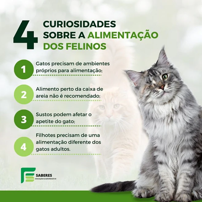 file:///D:/%E6%A1%8C%E9%9D%A2%E6%95%B0%E6%8D%AE ...
